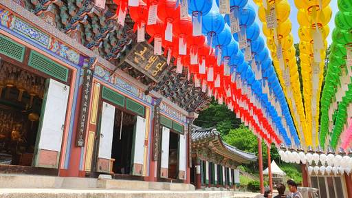 지난 18일 오후 남양주 봉선사 큰법당 앞마당에 초파일을 기념하는 연등이 달려있는 모습. 송상호기자