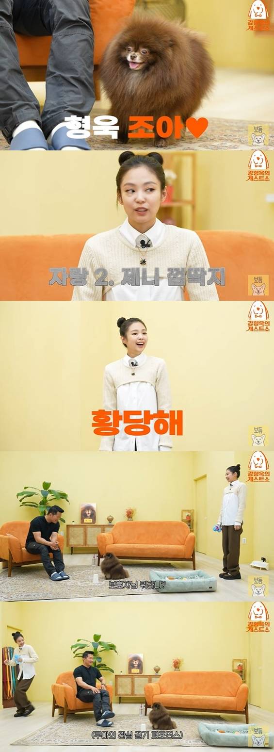 /사진='강형욱의 보듬TV' 영상 화면 캡처