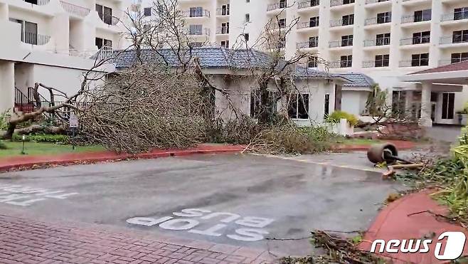 25일(현지시간) '슈퍼 태풍' 마와르가 강타한 태평양 미국령 괌의 타무닝의 아파트 단지에 에서 쓰러진 나무들이 널린 모습이 보인다. 2023.5.26 ⓒ 로이터=뉴스1 ⓒ News1 우동명 기자