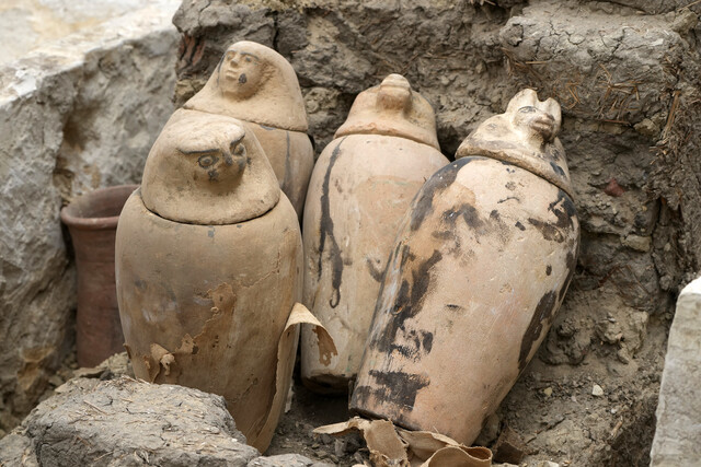 27일(현지시각) 이집트 수도 카이로에서 24㎞ 떨어진 사카라 유적지에서 미라 작업장이 발굴됐다. 인간의 몸에서 제거한 장기를 보관한 것으로 추정되는 항아리. AP 연합뉴스