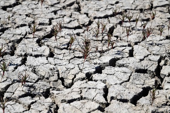 스페인이 이상고온과 가뭄에 시달리고 있는 가운데 지난 11일 스페인 남부 도냐나 국립공원에 있는 야외 수영장의 바닥이 심하게 갈라져 있다. AFP=연합뉴스