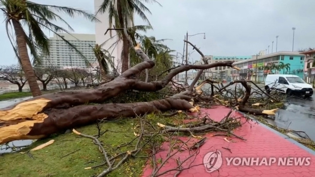 슈퍼 태풍 마와르가 태평양의 미국령 괌을 강타한 25일(현지시간) 나무들이 강풍에 꺾여 거리에 쓰러져 있다.  <사진=연합>