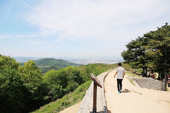 상당산성 정상부인 남문-서문 성곽에서 청주와 청원 일대 풍경이 한눈에 들어온다(충북 청주) . 사진제공|장보영(여행작가)