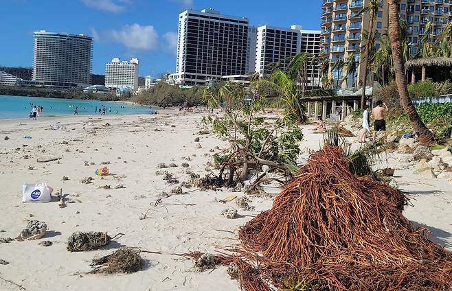 태풍으로 잔해가 널린 괌 해변 괌을 강타한 태풍 마와르로 인해 지난 26일(현지시간) 괌 해변에 잔해들이 널려 있다.
[독자 제공. 재판매 및 DB 금지]