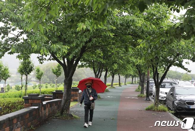 19일 오전 우산을 쓴 시민이 울산 중구 태화강국가정원을 걷고 있다. 2023.5.19/뉴스1 ⓒ News1 김지혜 기자