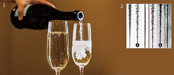 1 샴페인은 이산화탄소가 들어있는 다른 음료와 달리 기포들이 일렬로 상승한다. 미 브라운대 연구진이 그 원인이 풍미를 주는 불순물과 기포 크기에 있음을 밝혀냈다. 사진 미 브라운대 2 샴페인 기포의 일렬 상승 원인. (a)오른쪽으로 갈수록 기포가 커지고, 일렬로 안정되게 상승했다. (b)기포 크기가 같은 상태에서 오른쪽으로 갈수록 계면활성제 성분이 증가하고 역시 기포가 일렬로 상승했다. 사진 미 브라운대
