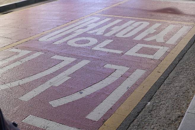 서울 송파구 가락동의 한 여성안심귀갓길 바닥 표기. 곽진산 기자