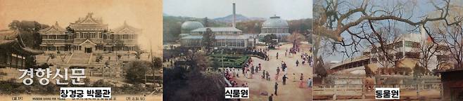 이토 히로부미의 주도로 추진된 창경궁 박물관 및 동식물원조성계획은 일사천리로 진행된다. 1908년부터 동물원과 식물원이 차례로 조성됐고, 창경궁 각 전각을 진열실로 꾸며 박물관 조성도 이어진다.