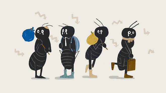 /일러스트=조선디자인랩 이연주