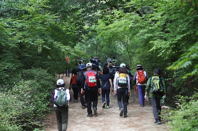 2019년 개최된 강북구민 한마음 걷기대회에 참가한 시민들이 우이령길을 걷고 있다. 강북구청 제공