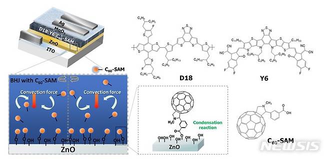 [광주=뉴시스] 유기 태양전지 구조, 광활성 물질 및 풀러렌 기반 자기조립 소재 물질의 분자구조 및 수직 자기조립 메커니즘 모식도
