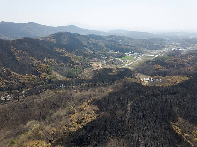 산불로 타 버린 홍성군 서부면 산림 [홍성군 제공. 재판매 및 DB 금지]