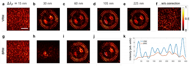 입체 반사행렬 현미경으로 찍은 이미지. 기초과학연구원 제공