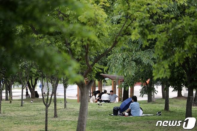 목요일인 1일 충북·세종은 흐리고 초여름 날씨가 이어지겠다.(사진은 기사 내용과 무관함) /뉴스1