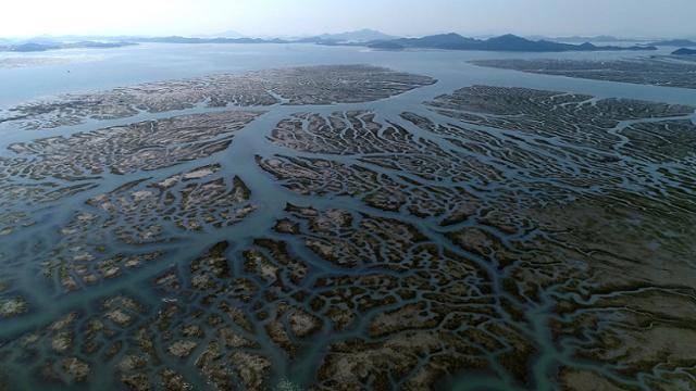 다큐멘터리 '수라'에 등장하는 수라갯벌의 모습. 미디어나무 제공