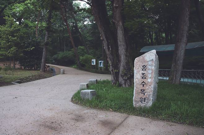 국가산림문화자산 제1호 '홍릉숲' *재판매 및 DB 금지