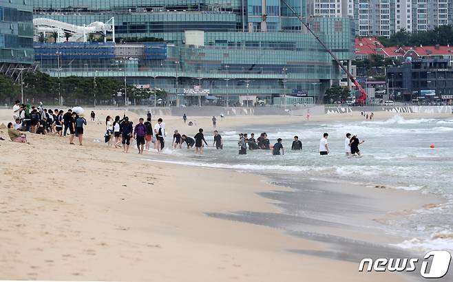 부산 해운대·송정해수욕장이 부분 개장한 1일 해운대해수욕장에서 관광객들이 물놀이를 즐기고 있다. 부산 7개 해수욕장 전면 개장은 다음달 1일이다. 2023.6.1/뉴스1 ⓒ News1 윤일지 기자