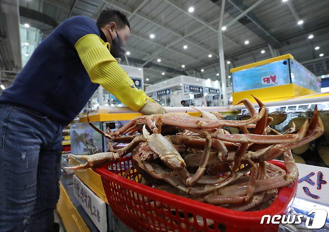 러시아산 대게 ⓒ News1 김영운 기자