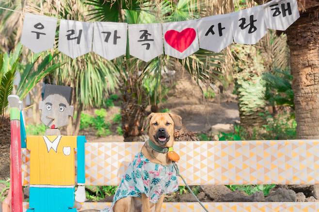 최근 잡지 촬영도 의젓하게 마친 오렌지 연습생. 가족만 있으면 완벽하겠다.