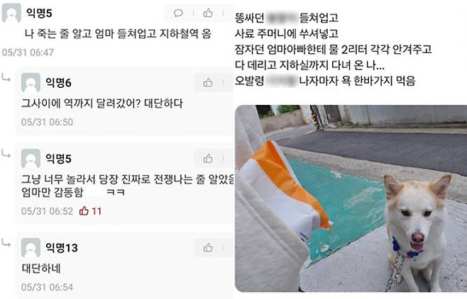 에브리타임·SNS 캡처