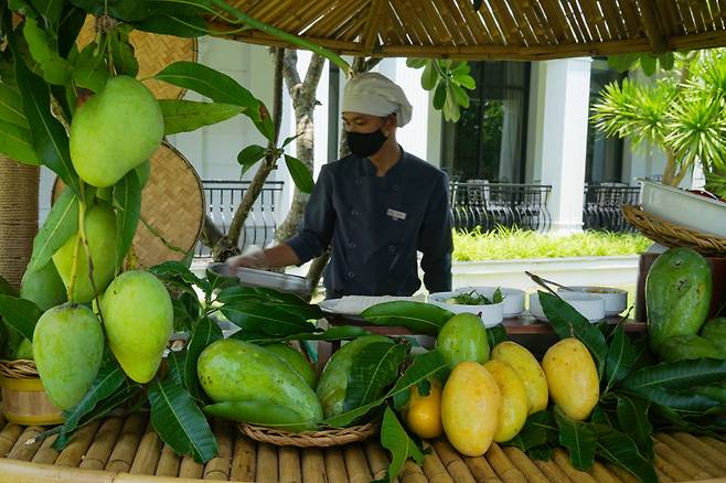 망고 쿠킹클래스