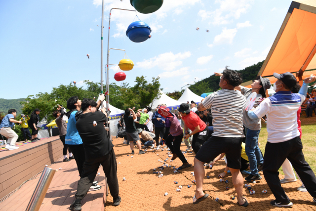 ▲전북 완주군 대둔산 축제ⓒ