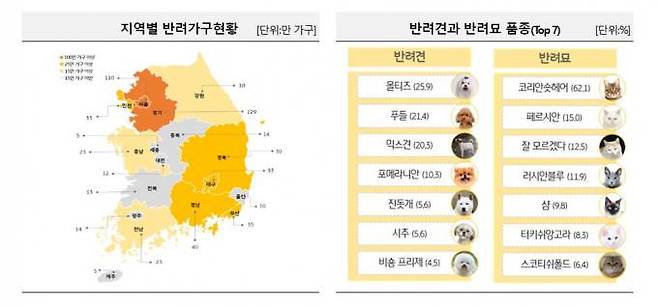 KB금융 제공.