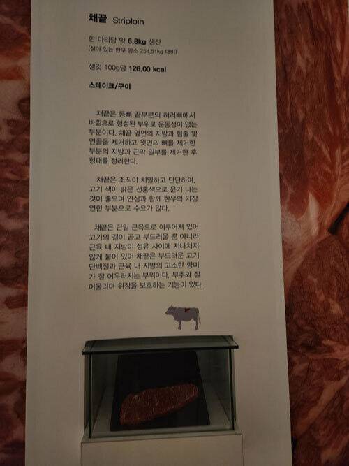 전시실에 있는 부위별 한우 고기 설명과 고기 모형.