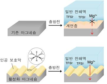 나노 구조를 만들어 활성화한 마그네슘 음극 [KIST 제공. 재판매 및 DB 금지]