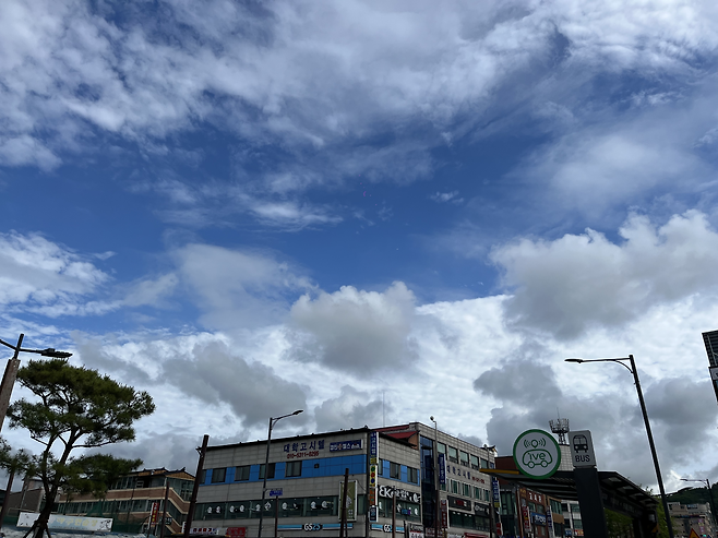 충주시 대소원면 대학로에서 찍은 사진 (2023년 5월 29일 월요일 오후 4:38)