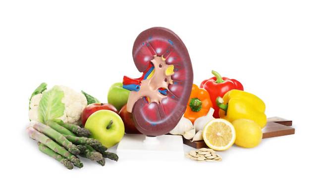 신장의 기능을 떨어뜨리는 요인 중 하나가 나쁜 식습관이다. 신장 건강에 좋은 음식을 먹으면 위험이 낮아질 수 있다. [사진=게티이미지뱅크]