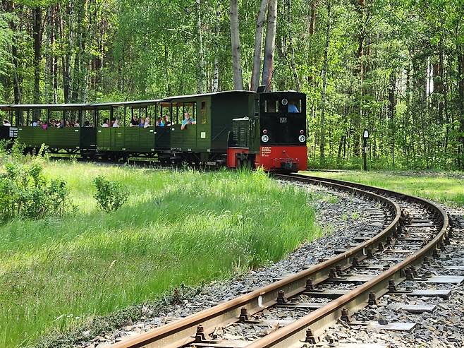 숲으로 변한 옛 갈탄 탄광지역에 다니는 관광 열차 [바이스바써=연합뉴스]