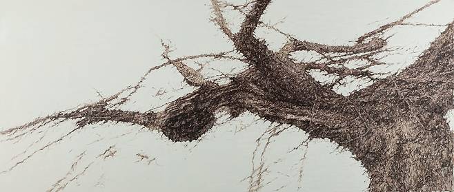김성남, The tree 1901, 97×225cm, oil on canvas, 2019 [심여화랑 제공. 재판매 및 DB 금지]