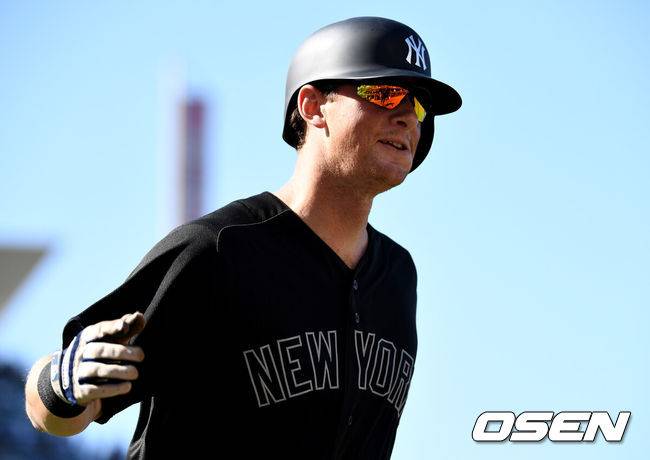 뉴욕 양키스 DJ 르메이휴. /OSEN DB