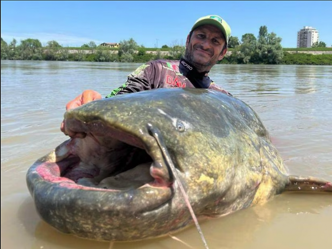 알레산드로 비안카르디(44)가 잡은 길이 285㎝의 초대형 메기. [사진출처=비안카르디 인스타그램]