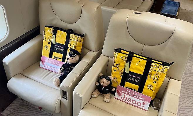 대한항공은 1일 아이돌 그룹 블랙핑크가 이용하는 전용기 내부 사진을 공개했다. /대한항공 인스타그램