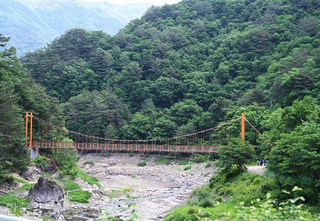 비수구미마을 계곡에 보행자를 위한 다리가 놓여 있다. 평화의댐까지 연결되는 길 초입인데, 현재 이 길은 낙석 위험으로 다닐 수 없다.