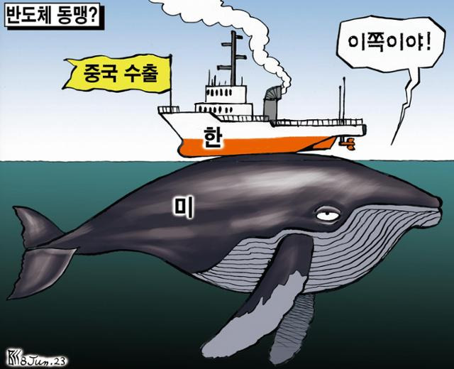 6월8일자 만평