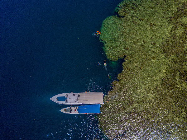 인도네시아 술래웨시 마나도 부나켄 해양국립공원 앞바다에서 스노클링하는 모습. 얕은 산호초로 이뤄진 에메랄드빛 바다 옆 수직으로 깊어지는 짙푸른 바다가 대비된다.