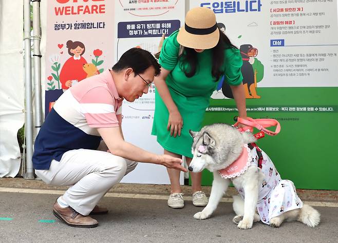 최근 개정된 ‘동물보호법’ 및 ‘동물보호법 시행령·시행규칙’에 따라 반려동물 영업자의 준수사항과 불법영업 처벌·제재 등이 강화된다. 사진은 반려동물 이미지.