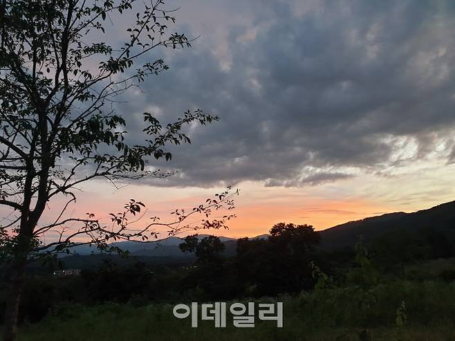 사진은 김규남 작가가 농장에서 바라본 노을 모습이다.(사진=김규남 작가 제공)