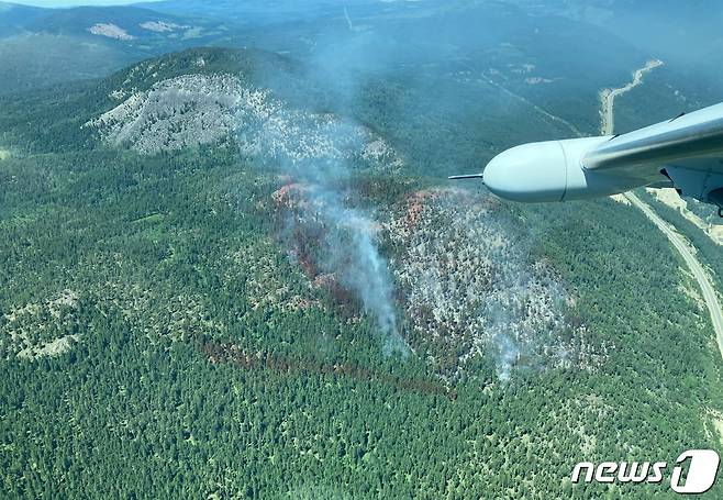 6일(현지시간) 캐나다 서부 브리티시컬럼비아주 오카나간 계곡에 있는 작은 마을 피치랜드에서 발생한 산불 피해 현장. 2023.6.6 ⓒ AFP=뉴스1 ⓒ News1 정윤미 기자