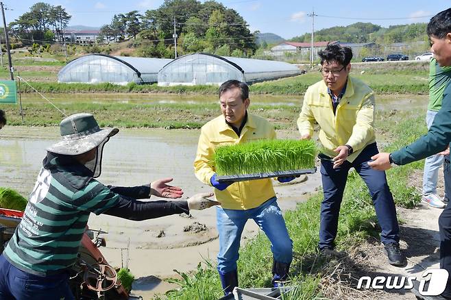 이병노 전남 담양군수가 모판을 옮기고 있다.(담양군 제공)2023.6.8./뉴스1