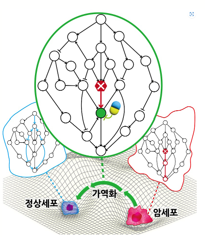 암가역화의 원리를 표현한 모식도. KAIST 제공
