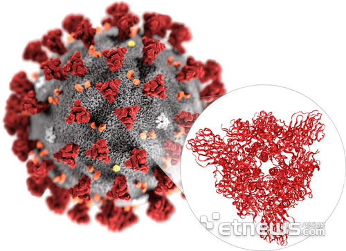 초저온 전자현미경을 이용해 밝혀진 코로나19 바이러스의 모습