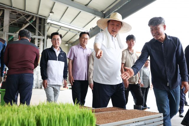 윤석열 대통령이 7일 충남 부여군 임천면의 '꿈에영농조합법인' 모내기 현장을 방문, 벼 모판을 살펴보고 있다. 대통령실 제공.