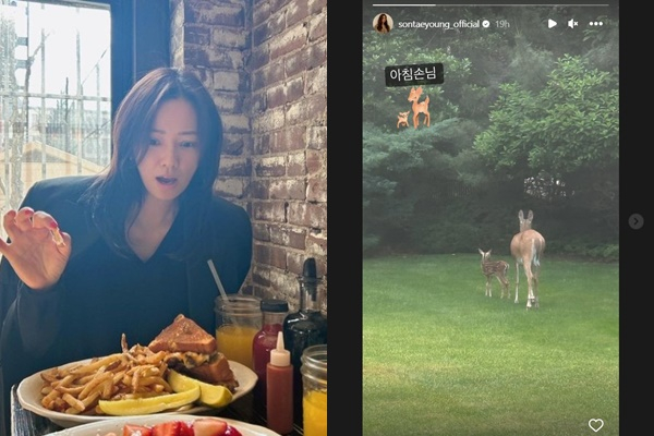 배우 손태영의 미국 집 풍경이 감탄을 자아낸다. /사진=손태영 인스타그램