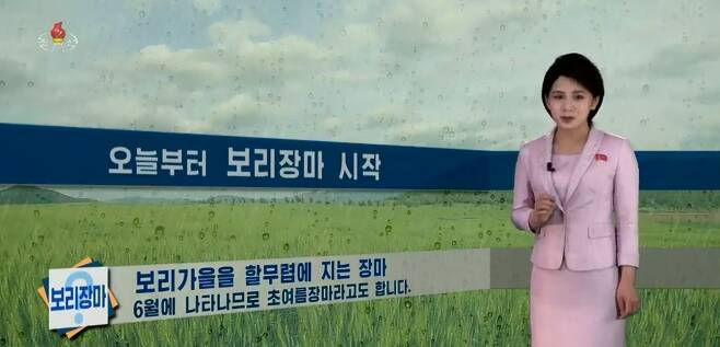 조선중앙TV는 8일 보도에서 "오늘부터 대부분 지역에서 비가 내리기 시작해 올해 보리장마가 시작됐다"라고 보도했다. (조선중앙TV 갈무리)ⓒ News1