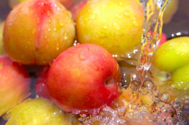 자두 속에 들어 있는 대표적인 영양소는 ‘비타민K’다./사진=클립아트코리아