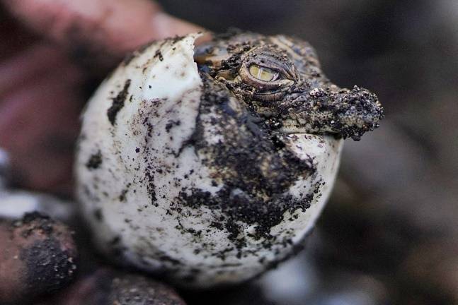기사 내용과 직접적 관련 없는 사진./사진=로이터=뉴스1